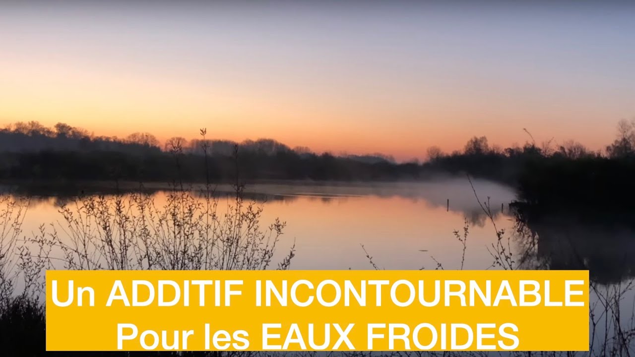 Un additif incontournable pour les eaux froides   HD 1080p