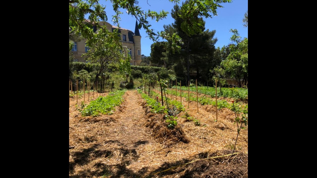 Marseille : la ferme des Calanques est-elle la ferme urbaine du futur ?