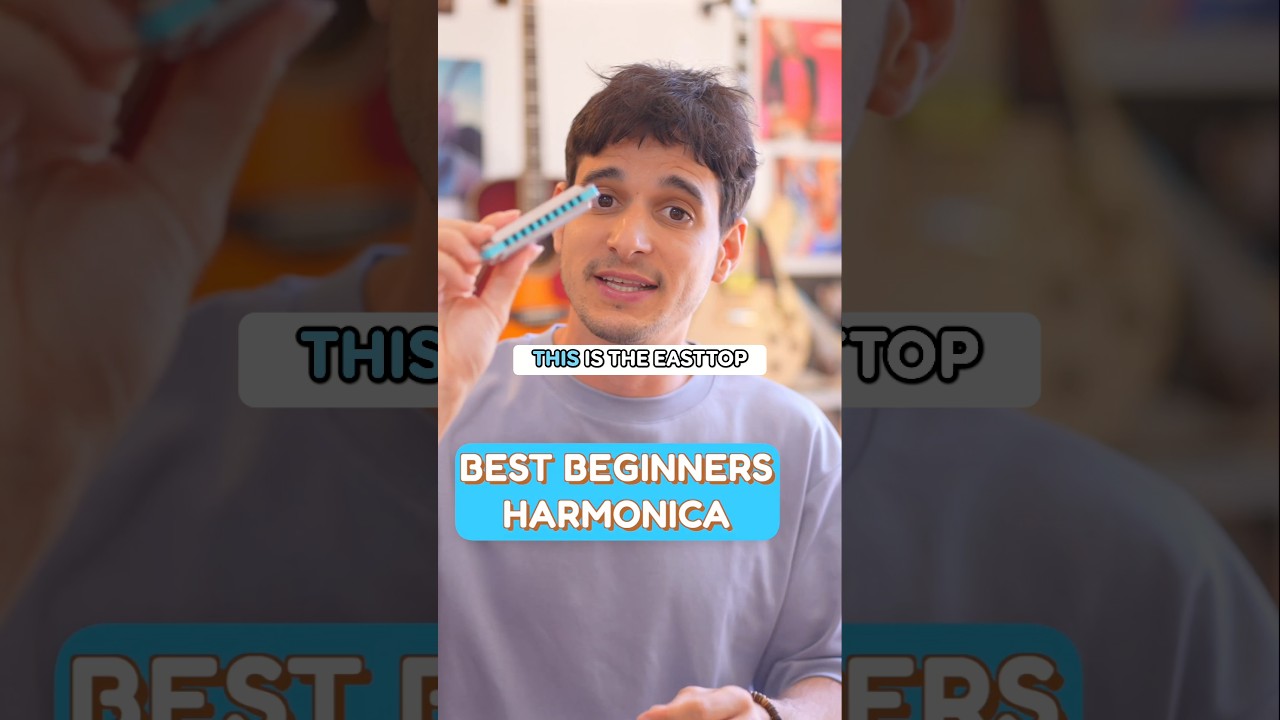 Best harmonica to get? (NOT sponsored) Easttop Lightning