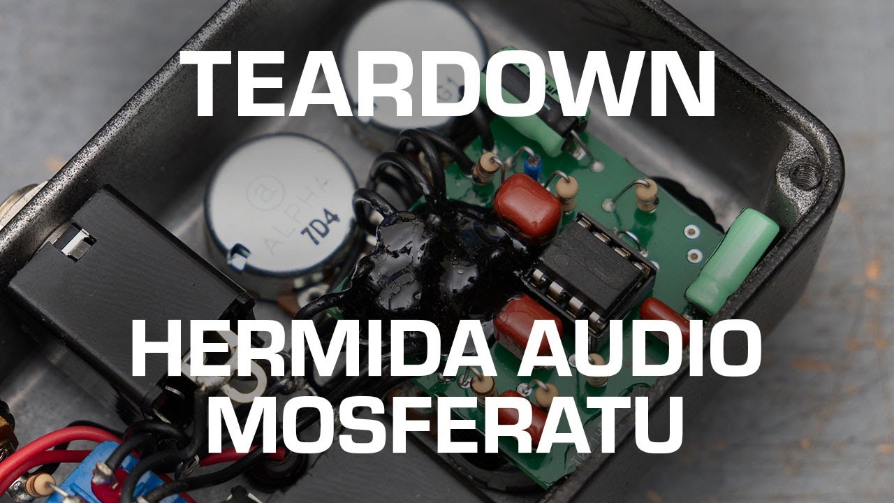 Разборка Hermida Audio Mosferatu! Посмотрите, что внутри!