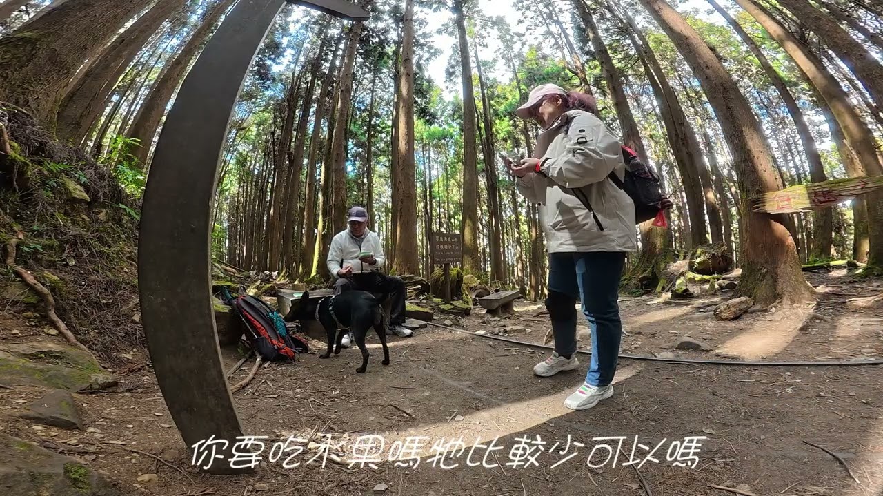 百大必走步道~特富野古道~