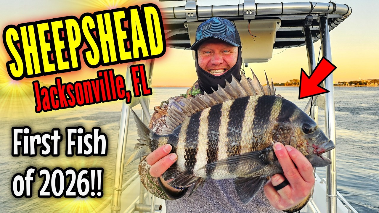 Winter Sheepshead Fishing St. Johns River Jacksonville Florida January 2026