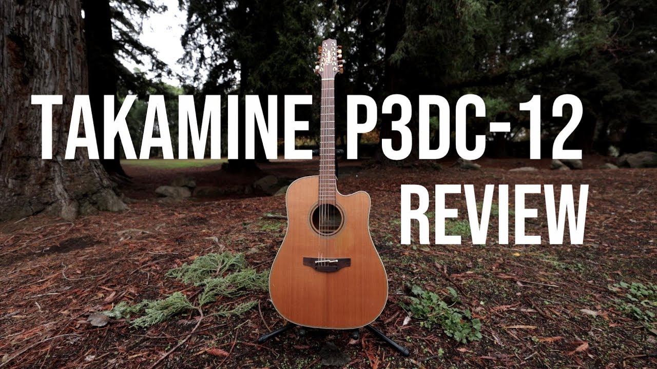 TAKAMINE P3DC-12 - Un año despues - valio la pena?? - Review