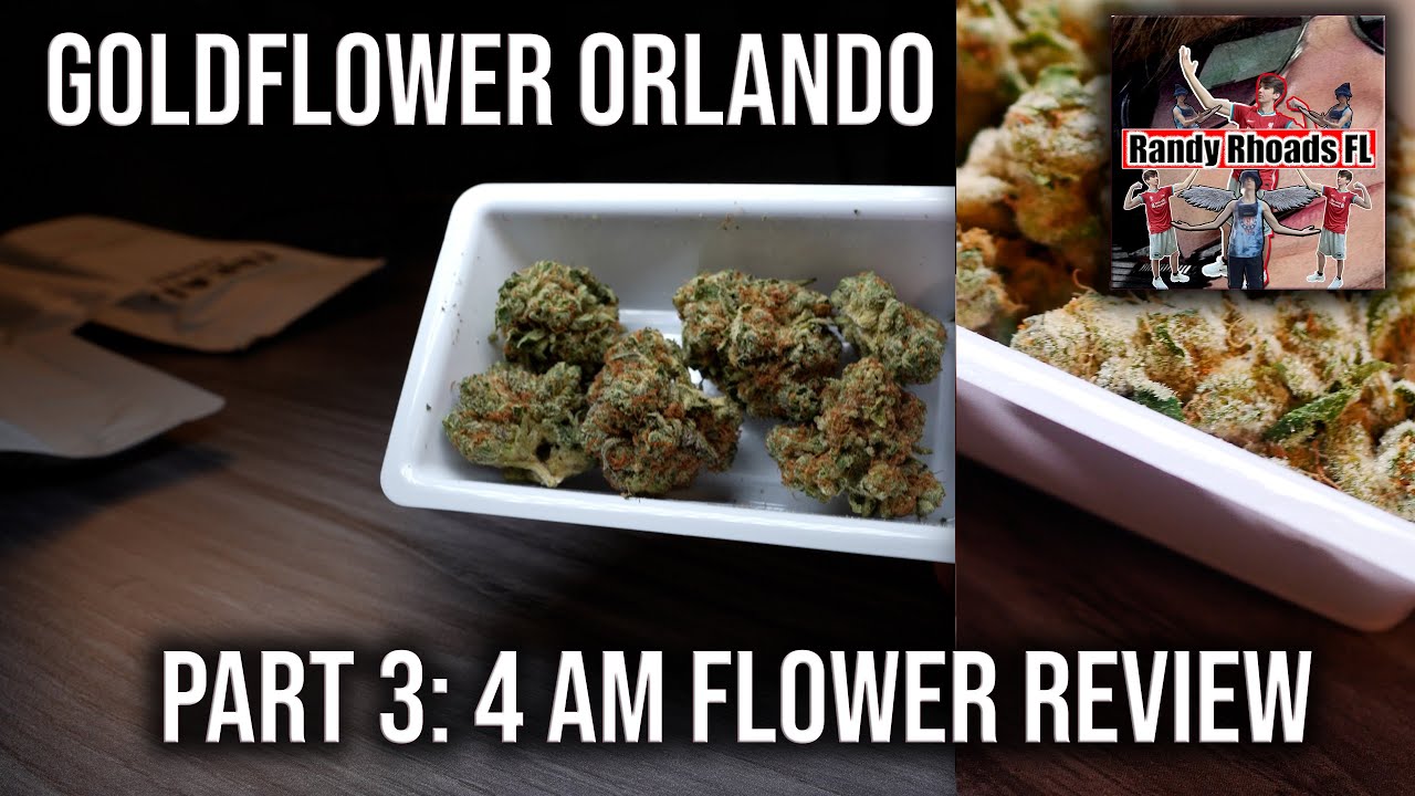 Pulling Up to Goldflower Orlando &ndash; Pure Florida Vibes | Part 3: 4 AM Flower Review