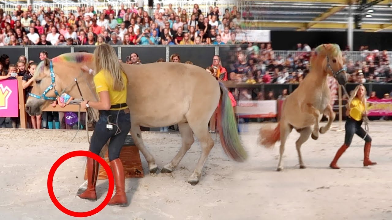 MOOS STAAT OP MIJN TENEN TIJDENS SHOW OP HORSE EVENT! | Vlog #179