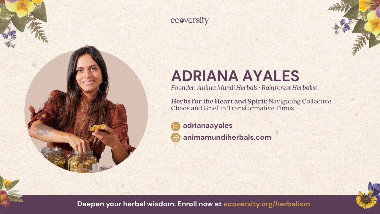 Саммит по травничеству с участием. Адриана Айалес (@animamundiherbals)