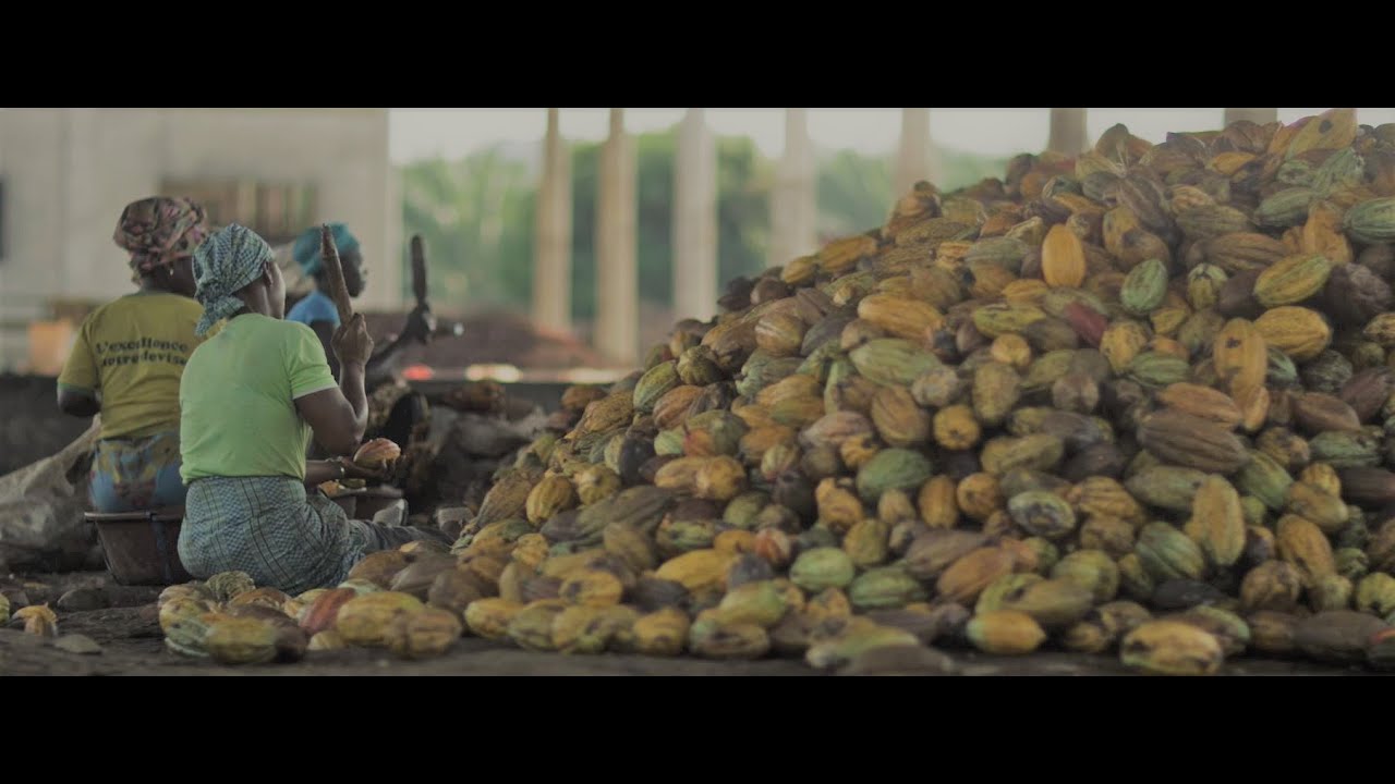 Touton - Négoce de Cacao