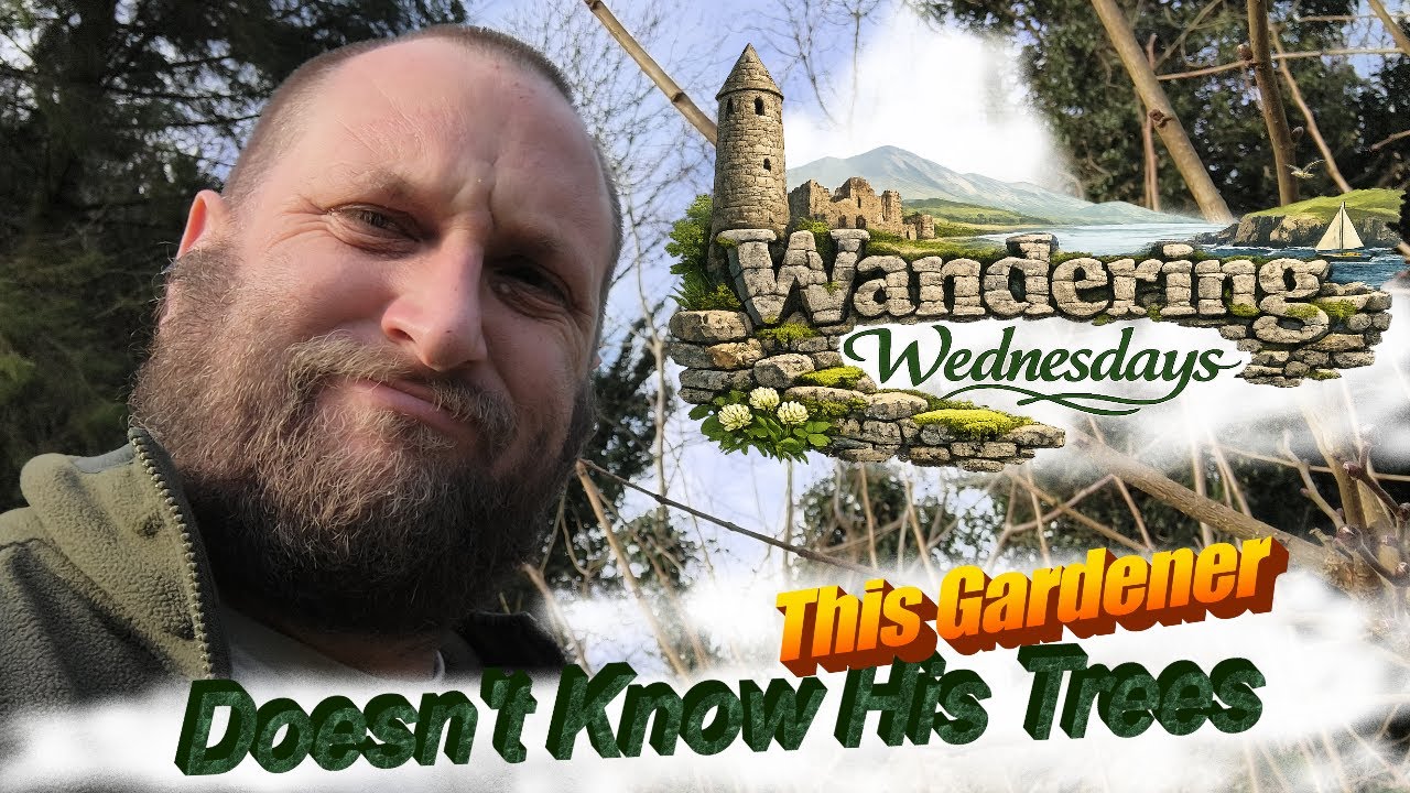 The Hazel Cutting Mistake - Wandering Wednesdays