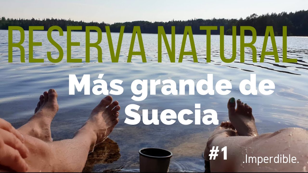 FUIMOS A LA RESERVA NATURAL MÁS GRANDE E IMPORTANTE DE ESTOCOLMO: Tyresta