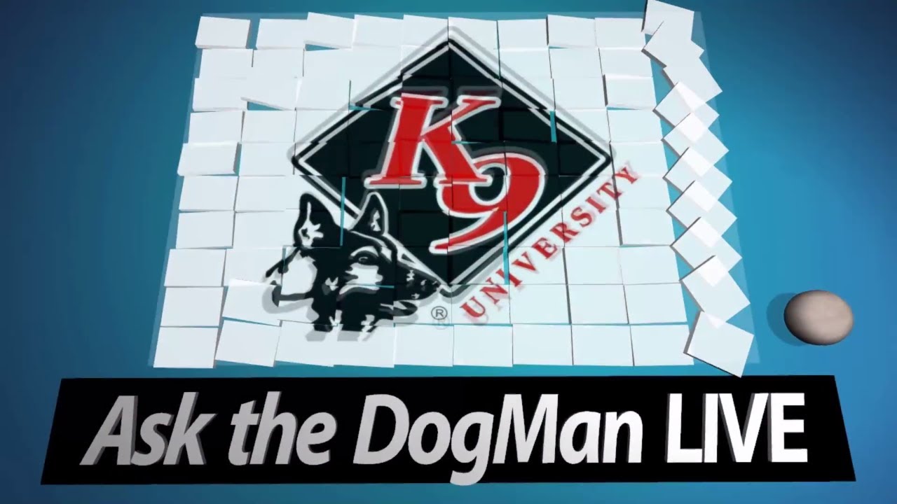 Dog training & behavioral questions answered on Ask The DogMan LIVE | 4-24-2018 Show