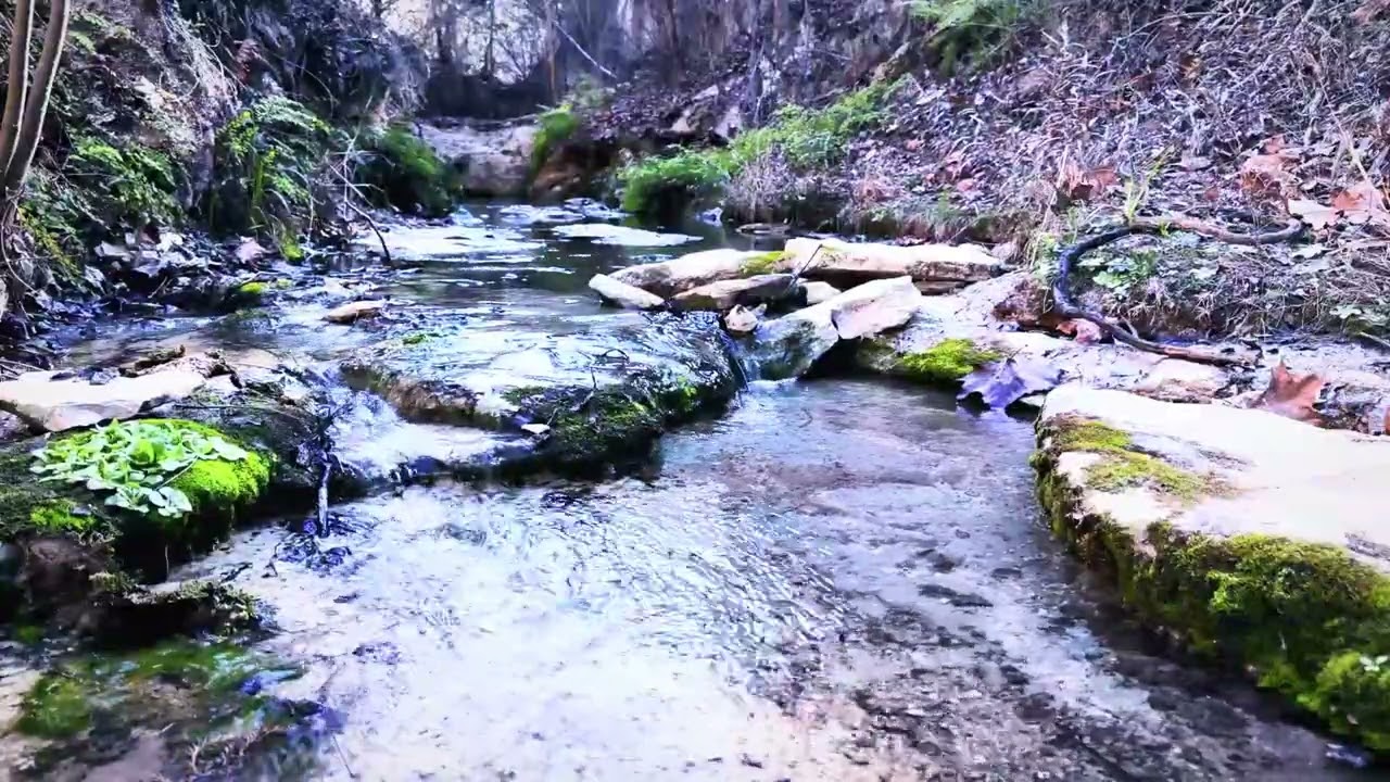 Calm Flowing Creek for Background Noise or Sleep