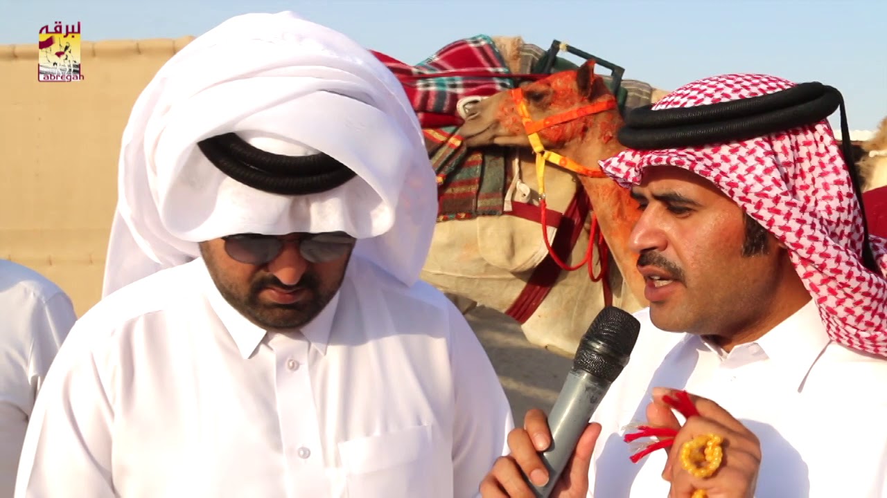 لقاء مع سالم بن محمد السندوانة الشلفة الذهبية للمفاريد بكار (مهرجان آل جحيش) صباح  ٢٨-٦-٢٠١٩