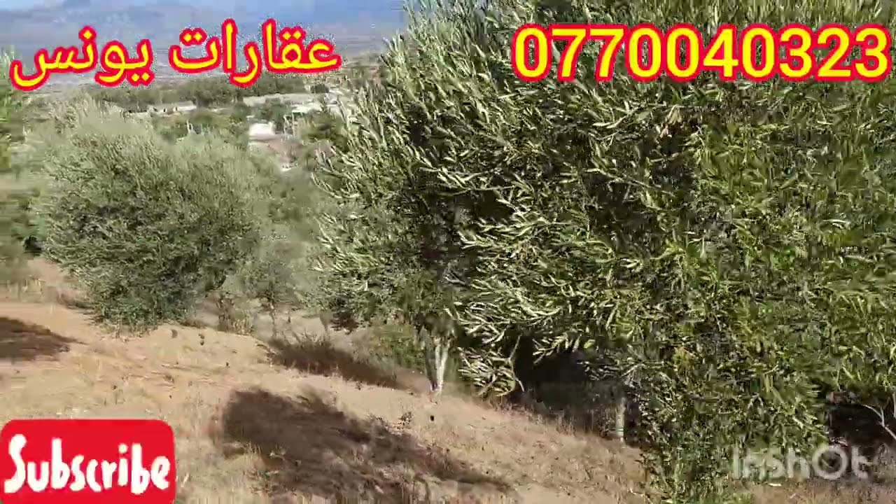 بقعة أرضية محفضة  للبيع في شفشاون جات على الطريق الرئيسي تمن 300 درهم للمتر وفيها المفاهمة