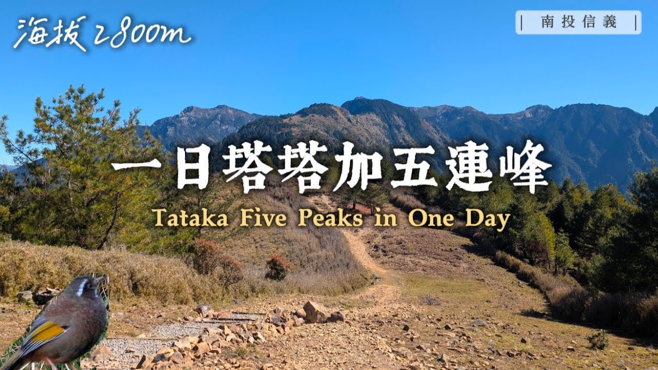 挑戰！一日騎車往返去爬塔塔加五連峰！攀登玉山前最佳的高山練習場！整路都看得到玉山的登山路線！ ｜南投信義 塔塔加｜【賴同學 Student Lai】