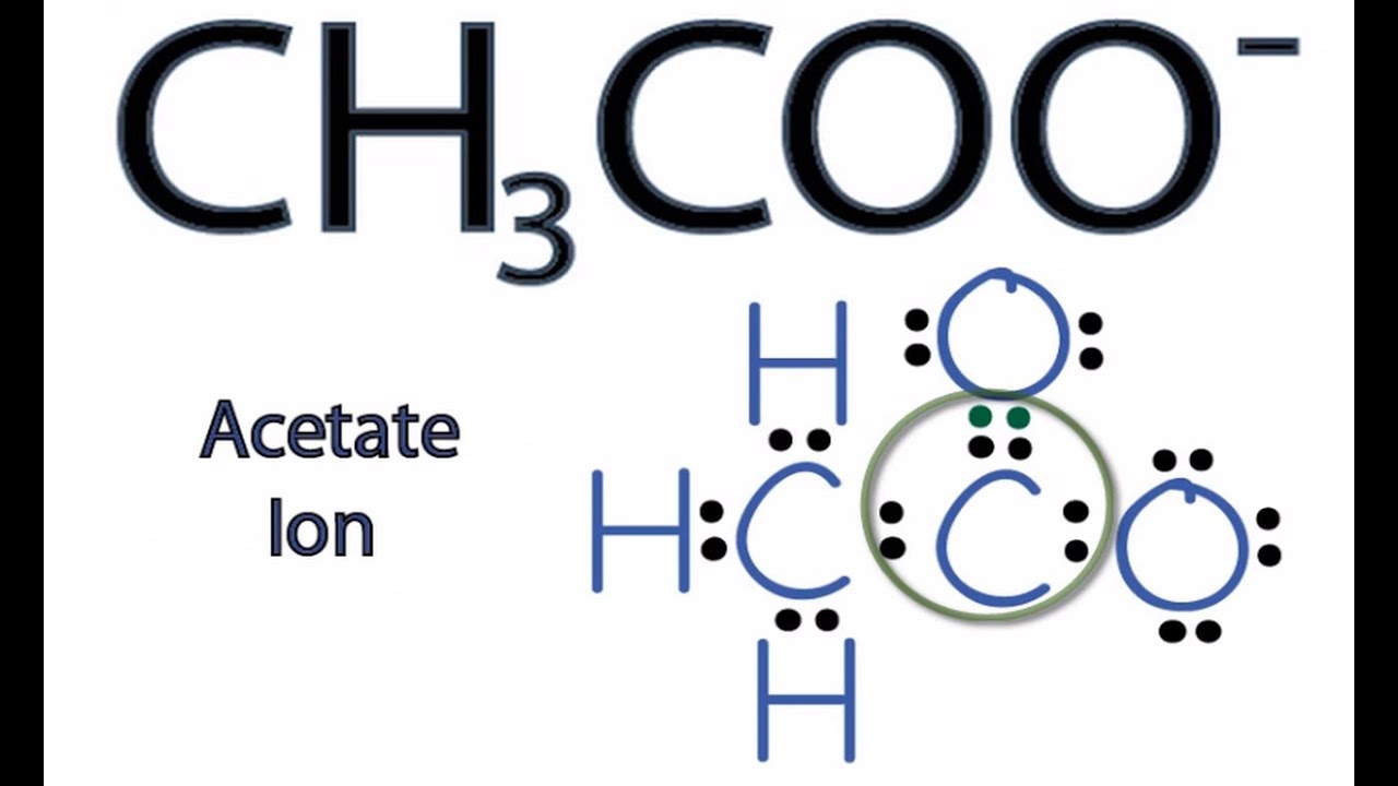 CH3COO- Lewis Structure: How to Draw the Lewis Structure for CH3COO-