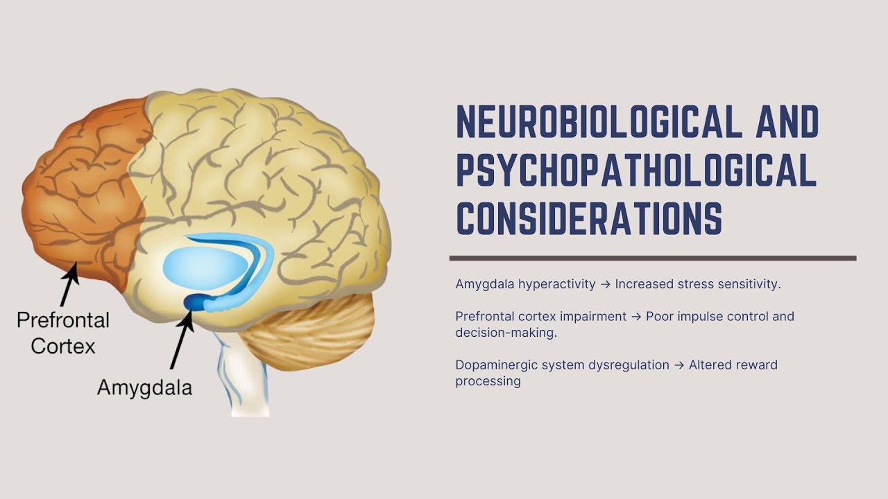 Neurobiological and Psychopathological Considerations in Addiction