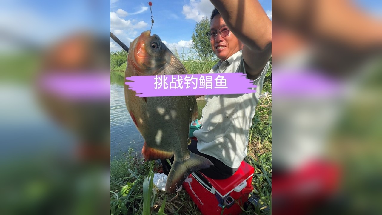 这个老板说他家的鱼我钓不起来，结果.......