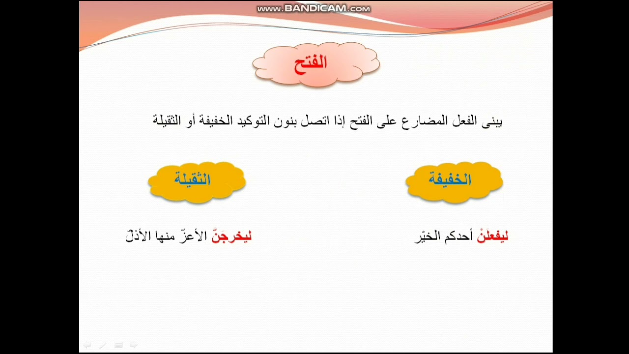 بناء الفعل المضارع للسنة الثالثة متوسط(أمثلة،قاعدة،تطبيق)