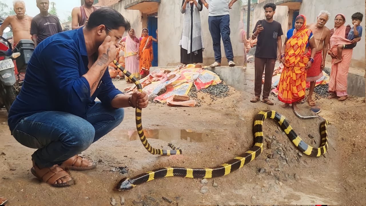बापी दा को जहर वाला पूंछ से डंक मार दिया  फिर जो हुआ आप भी देखें