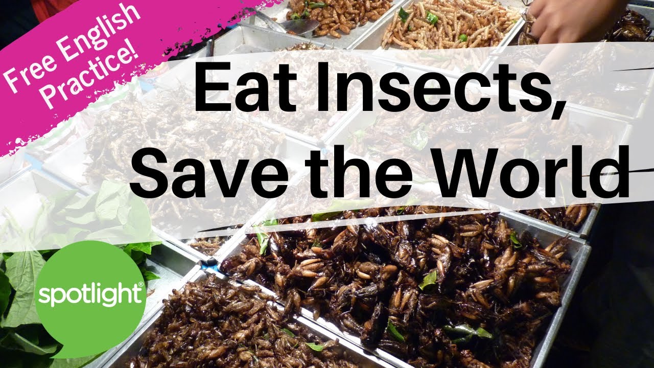 Eat Insects, Save the World | practice English with Spotlight