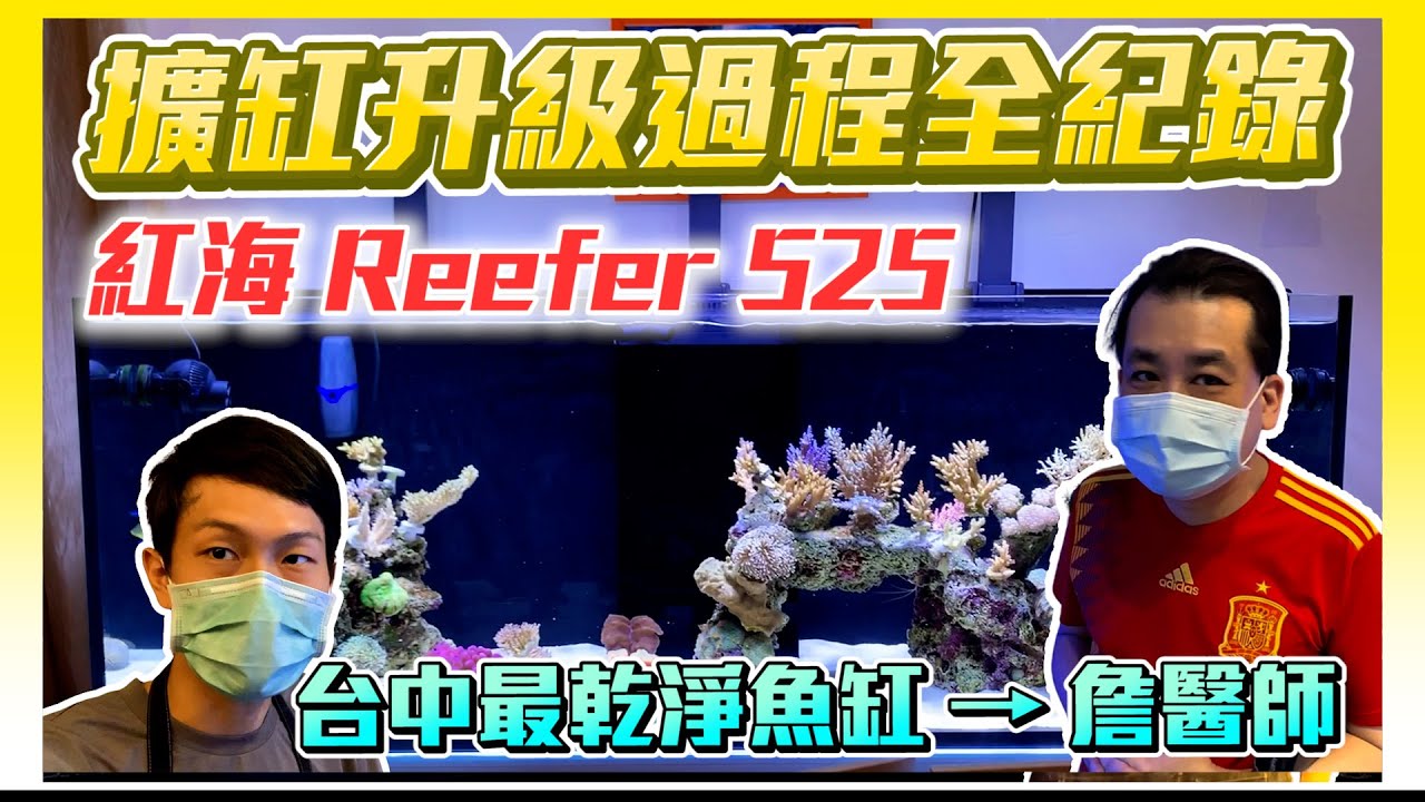 【藍箱水族】從舊缸到新缸，愛乾淨的詹醫師的擴缸移缸紀錄！