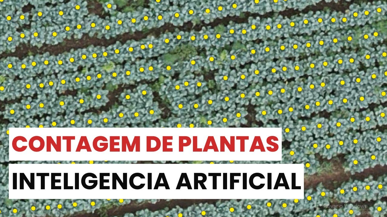 TREINEI UMA IA PARA CONTAR PLANTAS DE BRÓCOLIS AUTOMATICAMENTE NO QGIS