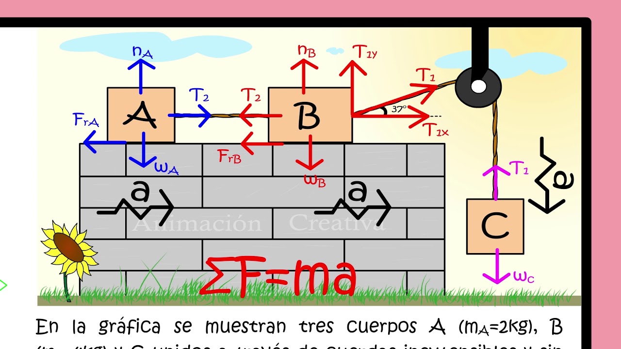 Ejercicio Newton Nivel Superior (Aprende con niveles) | Aprende Rápido Leyes De Newton