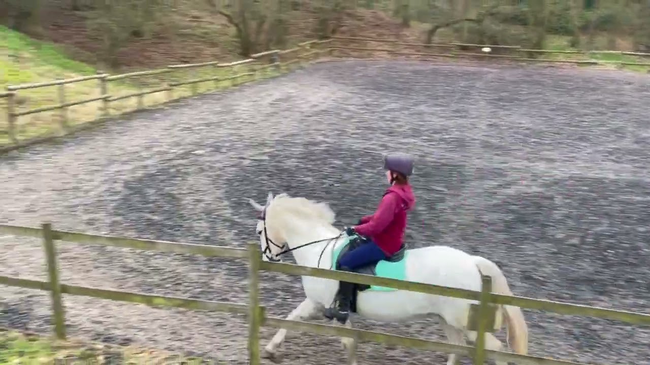 Grace Calvert-Whitehead and Leo IV eriders BRC league novice 3a for Gipping riding society February