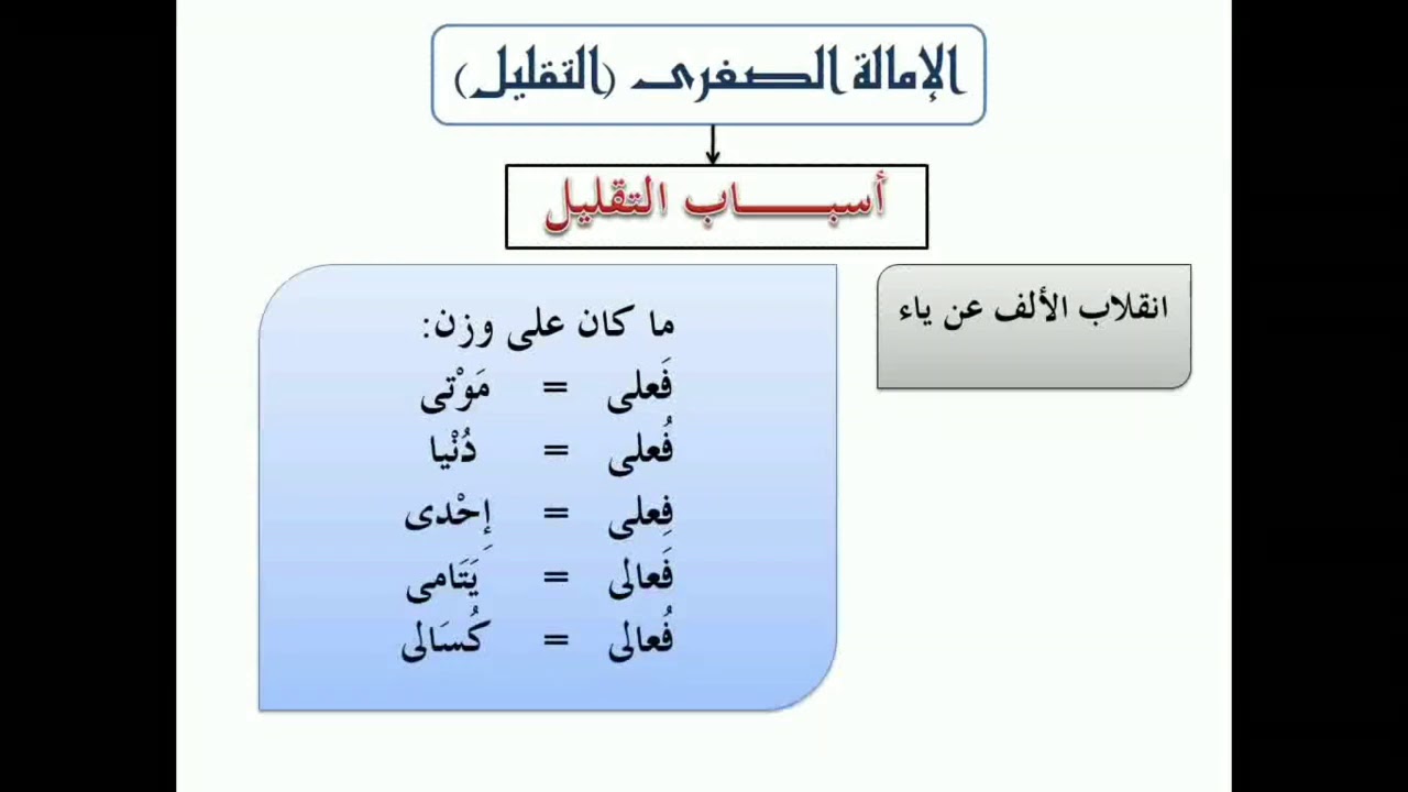 الدروس النظرية| أحكام الفتح والإمالة (1)| أحكام التجويد برواية ورش من طريق الأزرق أ. محمد بوشمال