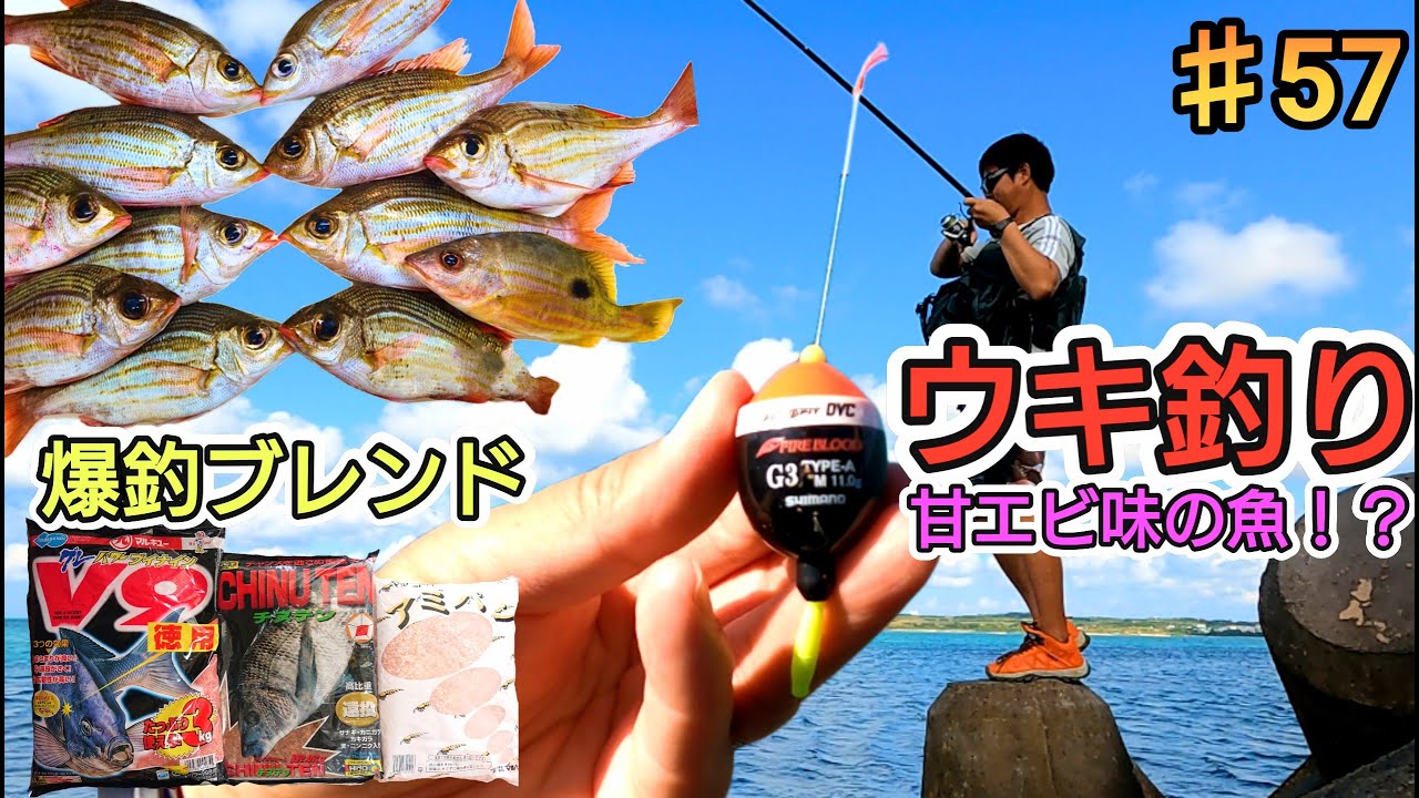 沖縄 宮古島 ウキ釣りで甘エビ味の魚爆釣！