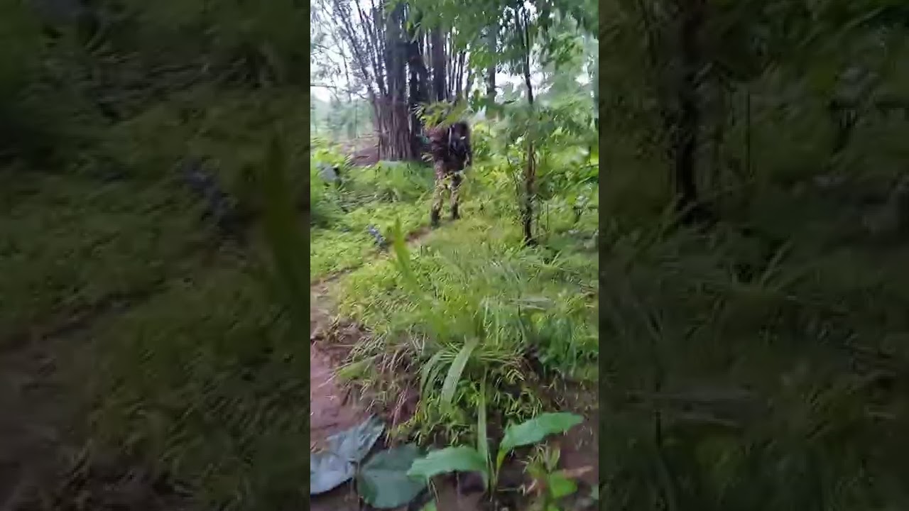 crpf commondo live opration duty