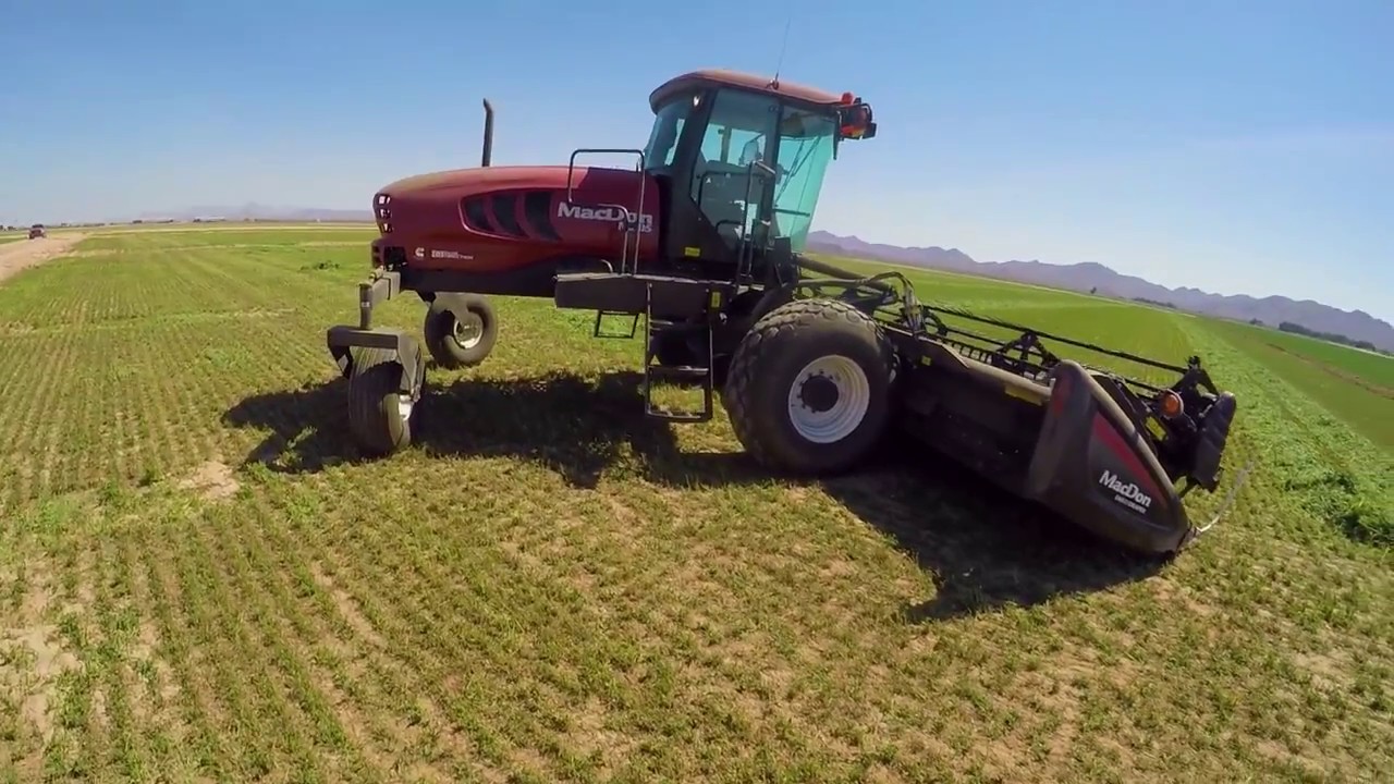 MacDon M205, D-65D Draper, Cutting Alfalfa