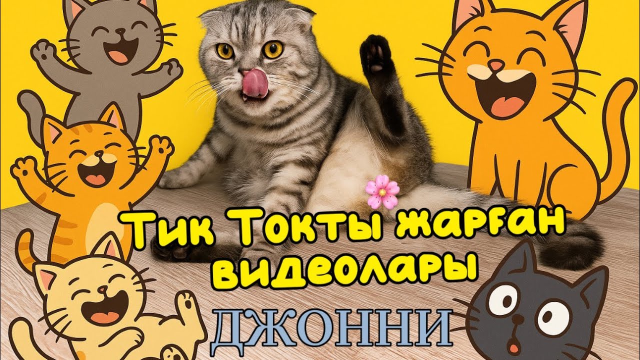 Джонни (Жәнібек) ең ҚЫЗЫҚТЫ/КҮЛКІЛІ видеолары 2025 (Қазақша)  😂 #ДжонниЖәнібек #злиха #Zliha13