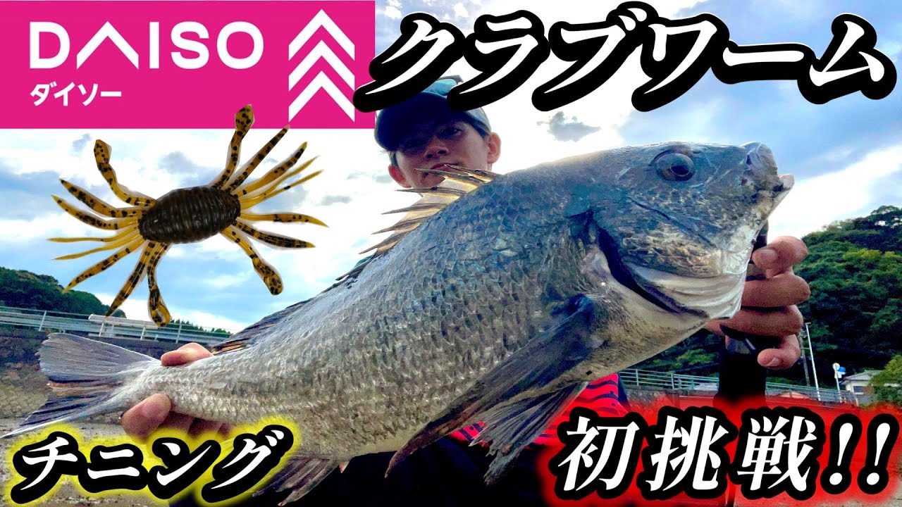 【ワームを使ったチニングに初挑戦】ダイソーのクラブワームを使って40UPのチヌを目指せ!! 使い方がわからないまま試行錯誤してたらまさかの自己新記録⁉　#チニング #ダイソー #九州  #クラブワーム