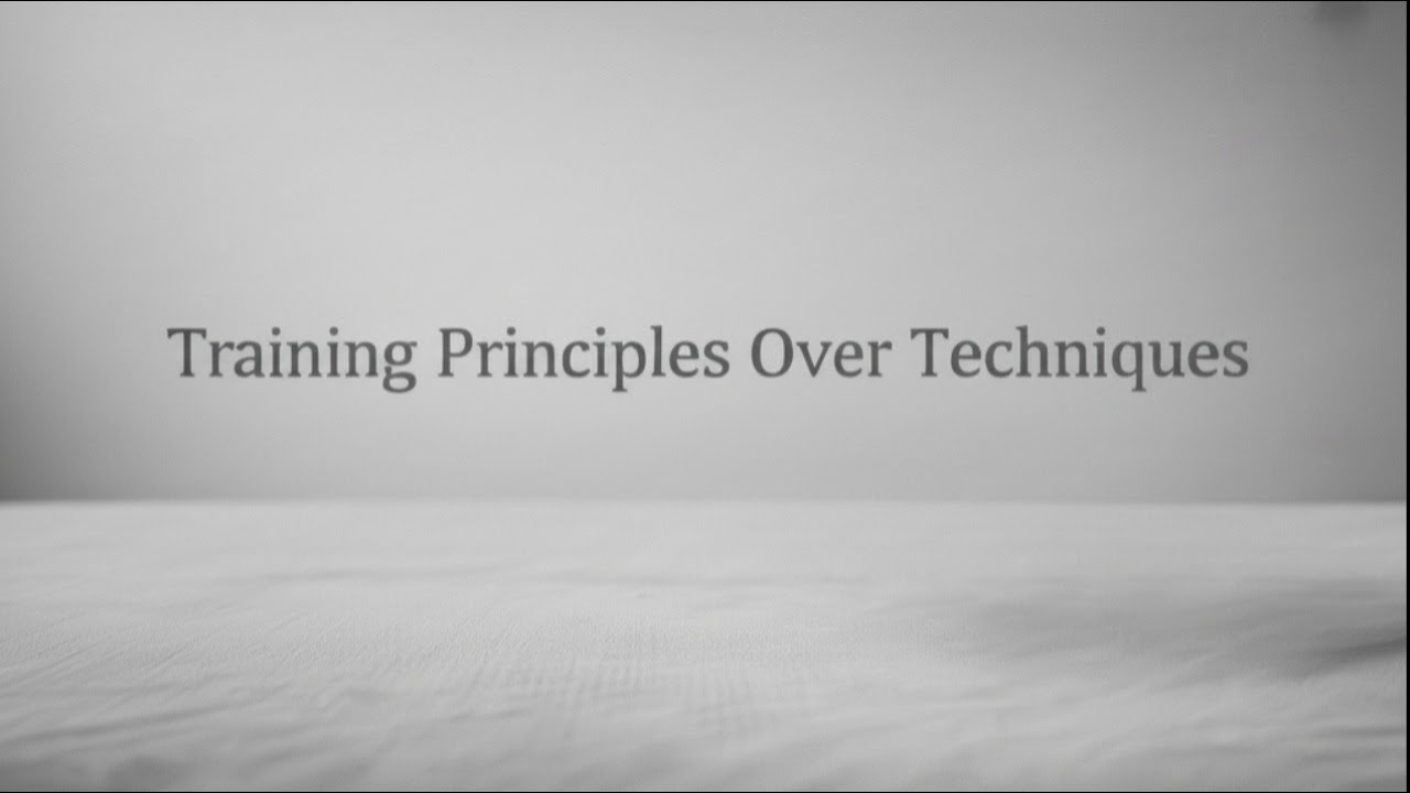 Martial Arts Principles: Training Your Attributes, Not Your Techniques