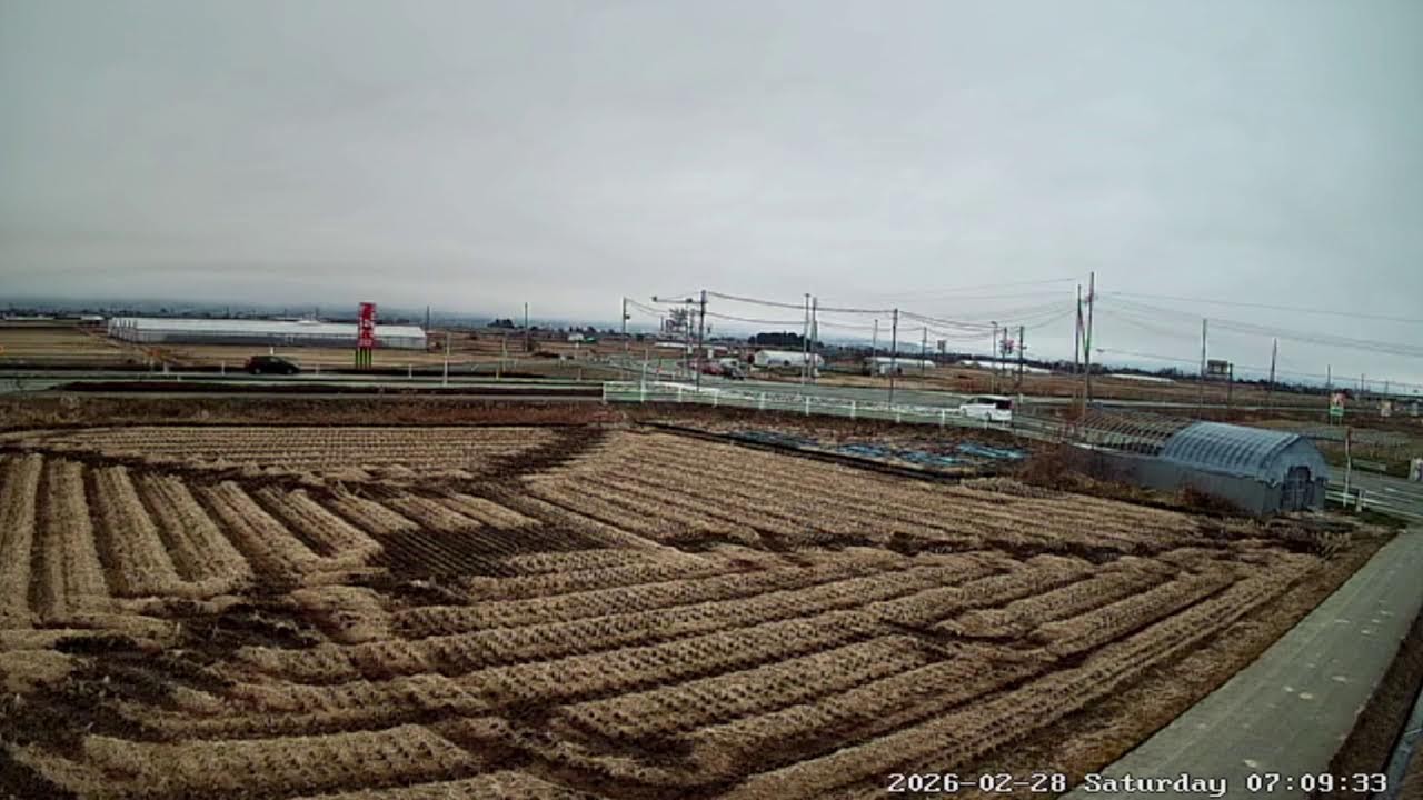 山形県山形市檀野前稲作ライブカメラ Yamagata Yamagatashi Live camera.world.cam