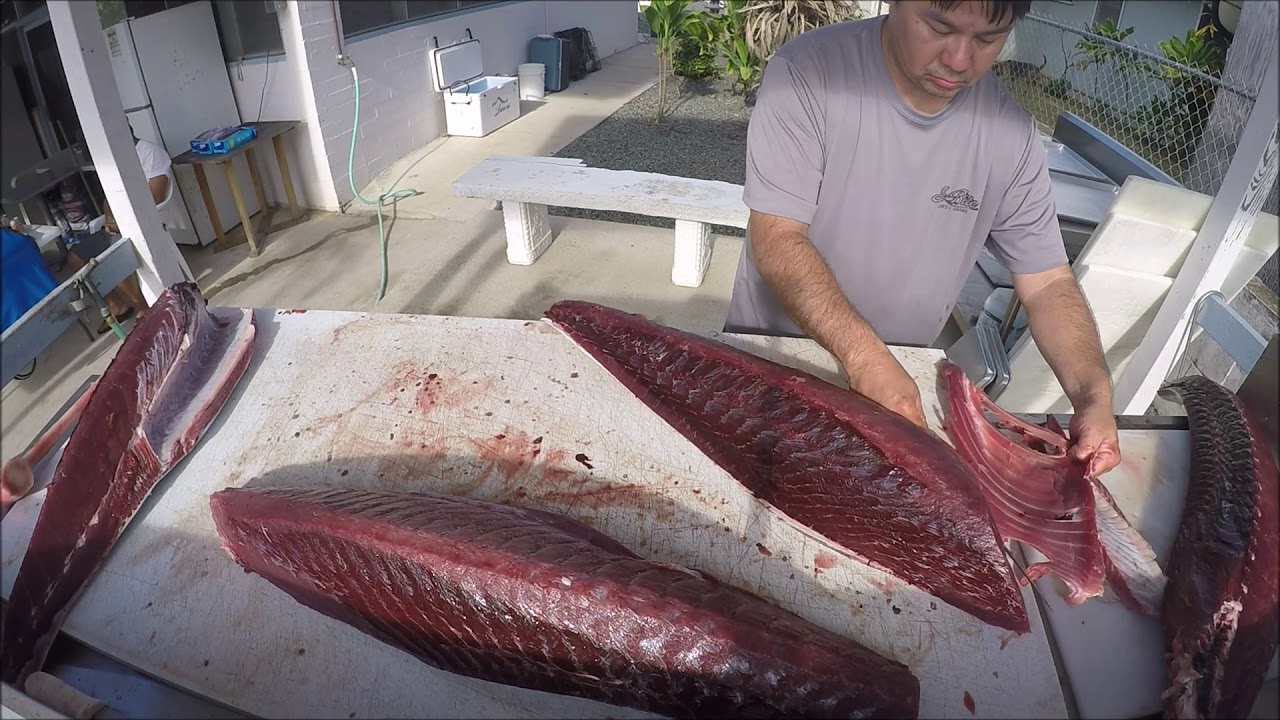 Ahi Quartering 101