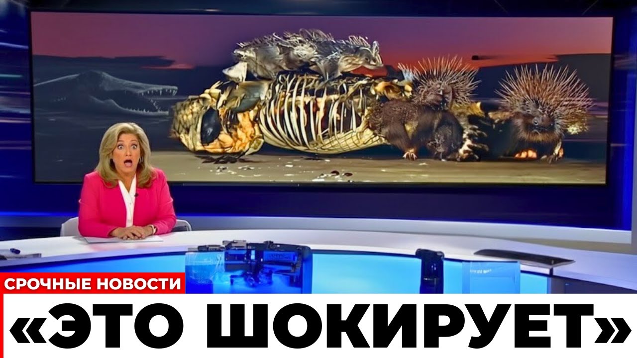 Во Флориде исчезали крокодилы — то, что нашли, пугает даже учёных