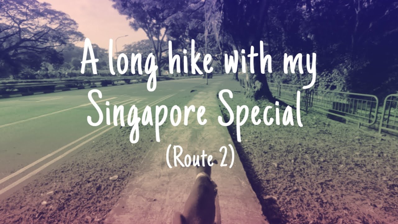 [Stylogeeklife] Hiking with dog in Singapore - 2 hour walk route