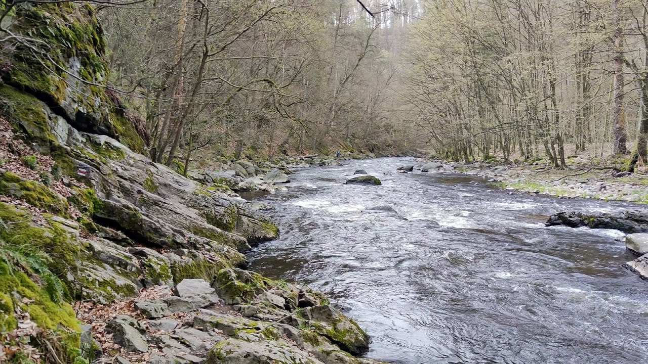 Wild River Oslava - Trip