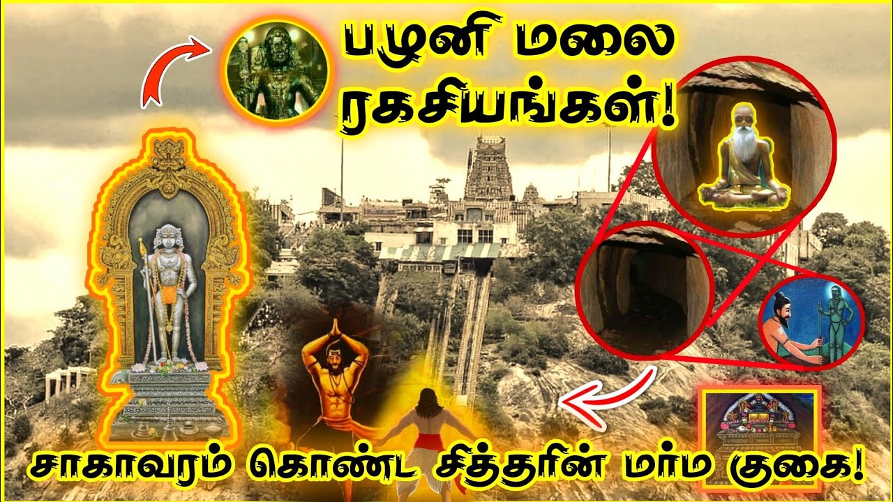 பழனி மலை ரகசியங்கள் | பழனி முருகன் வரலாறு | Palani Murugan History | Bogar Siddhar | Palani Temple