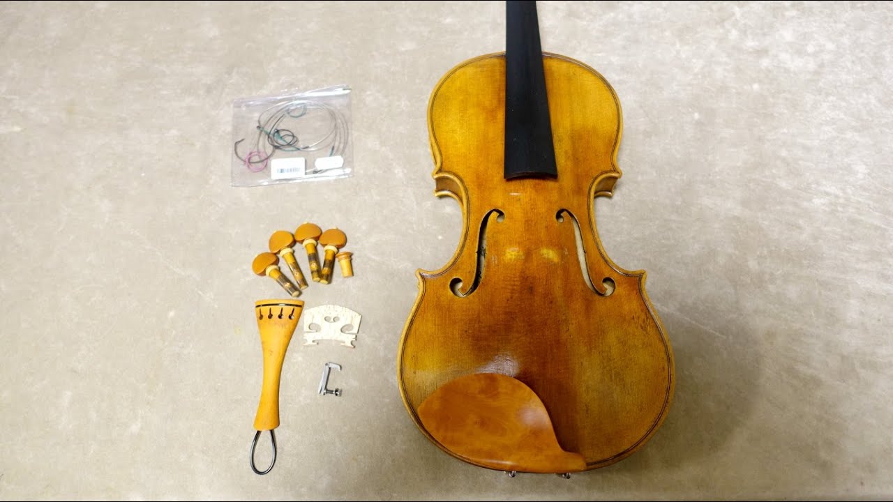 イタリア新作ヴァイオリン販売・クレモナから楽器が到着しました・Anna Arietti