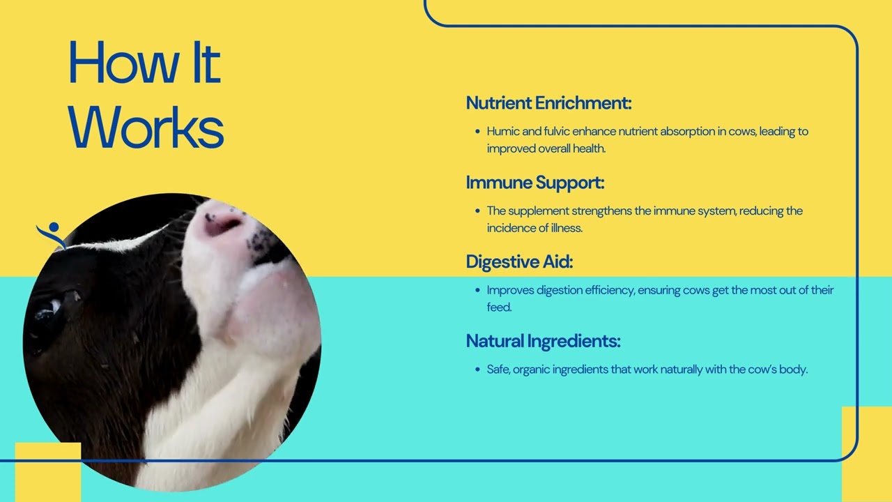 Ultimate Cow & Calf Health   Animal Boost