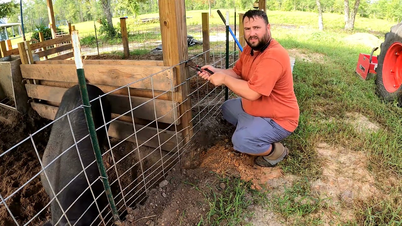 Swine Shrine Facelift | Pouring A Concrete Floor | #smallfarm