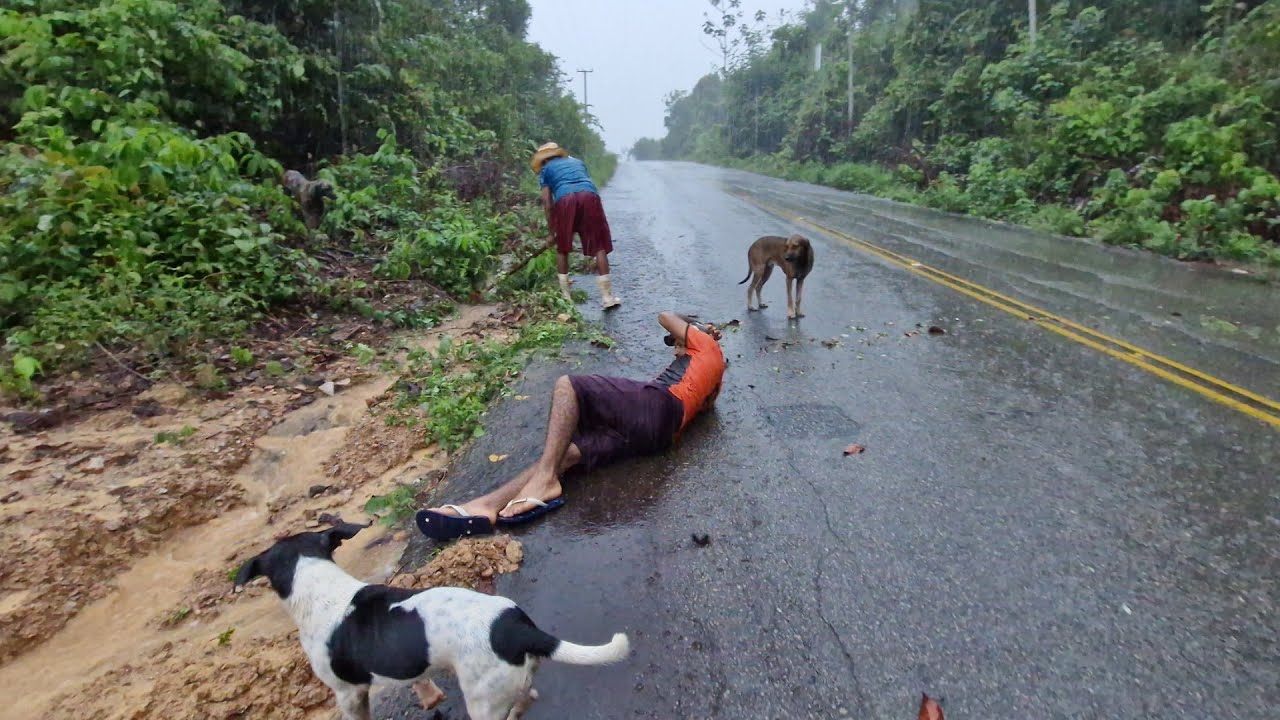 Chuva intensa aqui na roça .