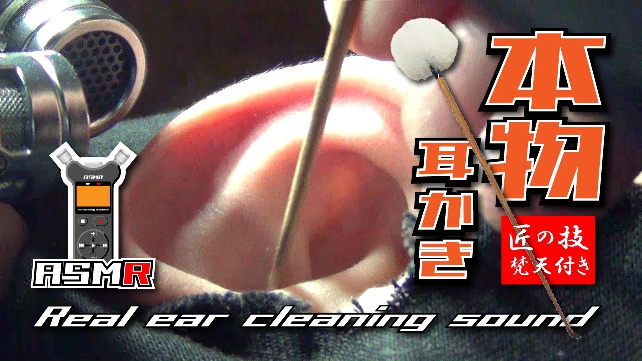 【ASMR】本物の耳かき音 真面目シリーズ匠の技竹耳かき梵天付き編 Real Ear Cleaning Sound /TASCAM DR-07MK2-JJ/no talking