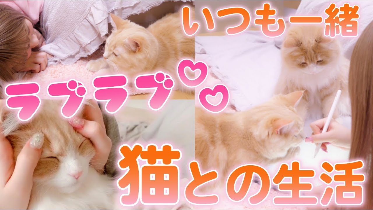 さぁやと甘えん坊兄弟猫のラブラブ生活♡【アルルイ】
