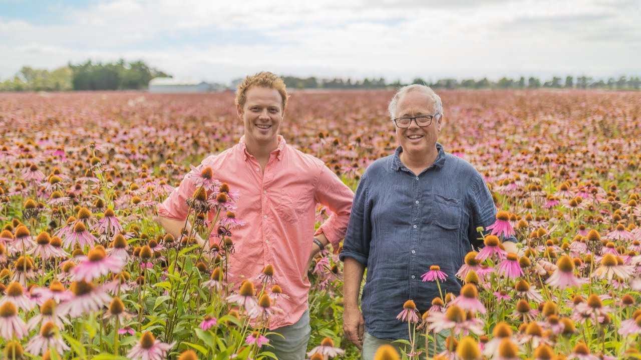 Meet the Chamberlains: pioneers in NZ organic farming
