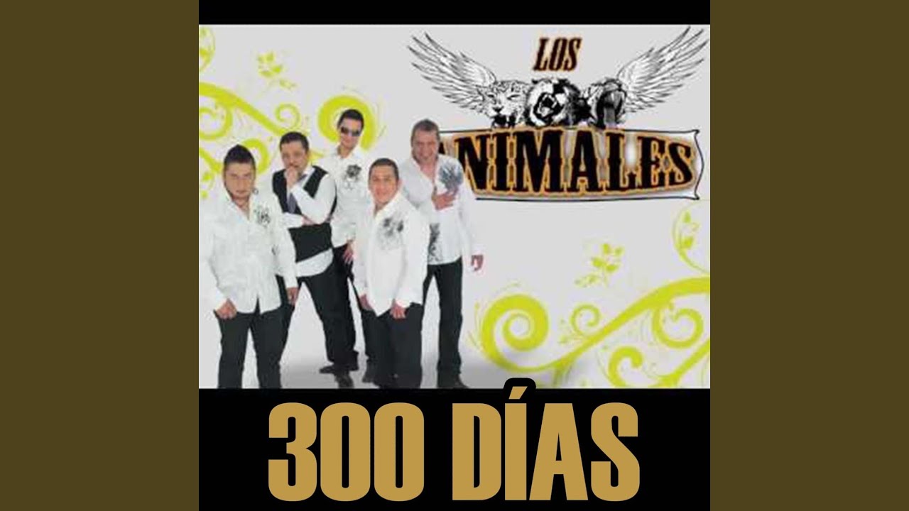 300 Días