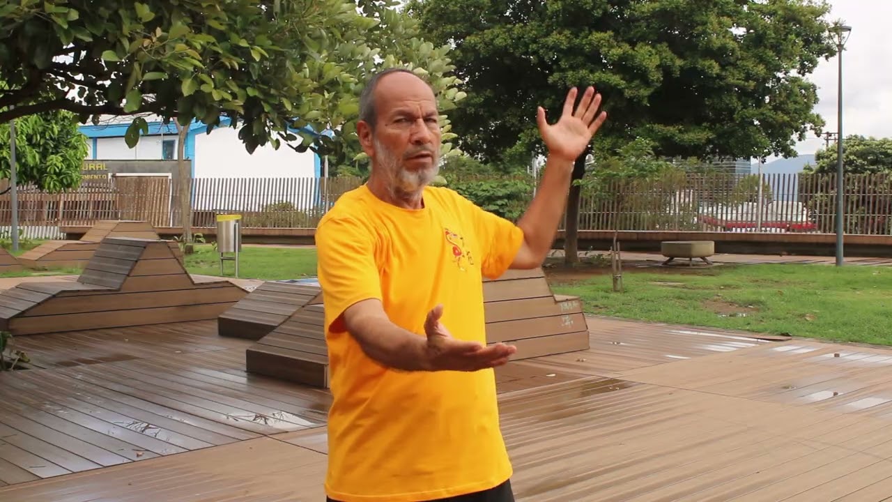 Tutorial 2. DuiBu-(Retroceder) Técnica del WuBU de Taichi estilo Yang